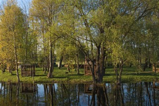 Kosovas