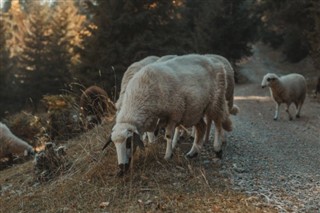 Kosovo