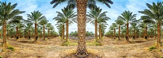 Kuwait