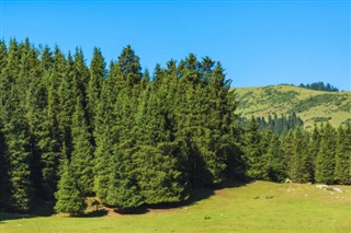 কিরগিজস্তান