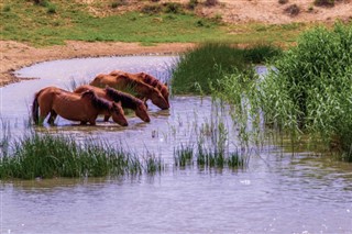 Kyrgyzstan