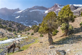 Kyrgyzstán