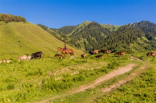 Kyrgyzstán