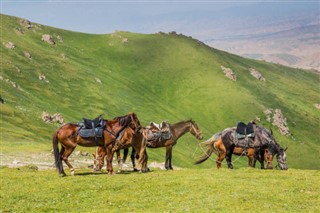 Kyrgyzstán