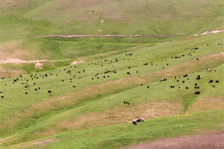 Kyrgyzstan