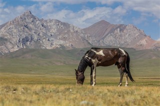 Κιργιστάν
