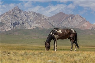 کرغیزستان