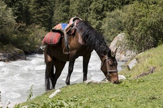 Kyrgyzstan