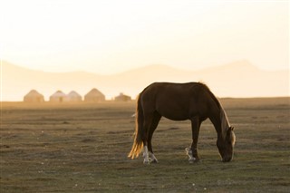 Kyrgyzstán