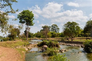 Laos