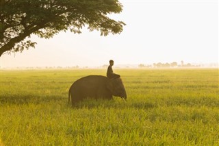 लाओस