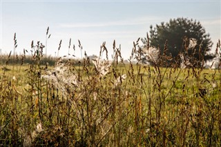 Латвія