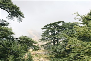 لبنان