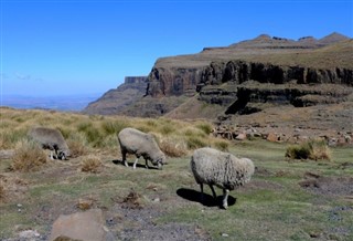 Lesotho