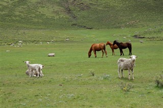 lesotho