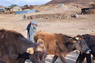 lesotho