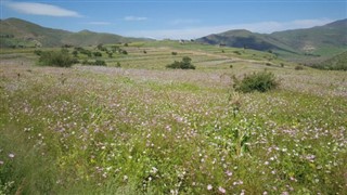 lesotho