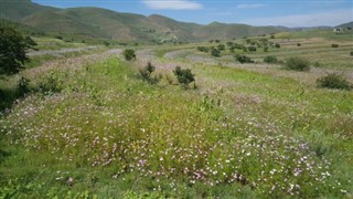 lesotho