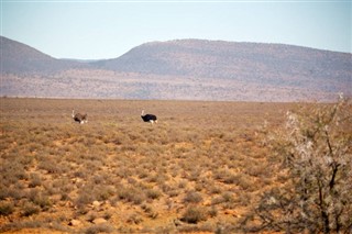 Lesotho