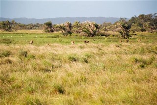 Lesotho