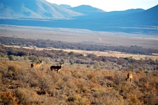 Lesotho