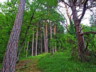 Lichtenštejnsko