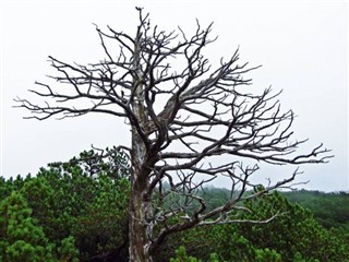 Lichtenštejnsko