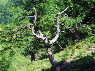 Liechtenstein