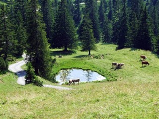 Lichtenšteinas