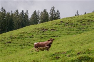 Lichtenštejnsko