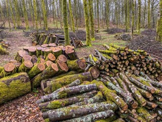 Lüksemburg