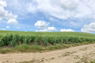 Луксембург