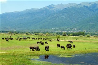 Macedonia