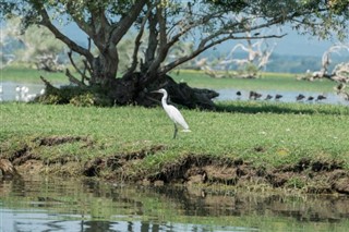 ম্যাসাডোনিয়া