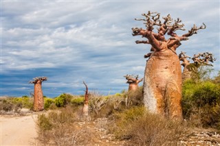 Madagaskaras