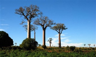 Madagaskaras