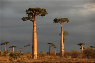 Madagaszkár