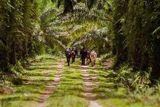 Madagascar