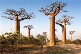 Μαδαγασκάρη