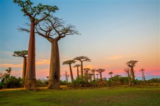 Madagascar