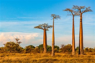 Madagascar