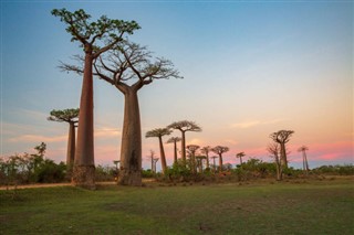 Madagascar