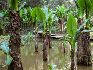 Madagaskara