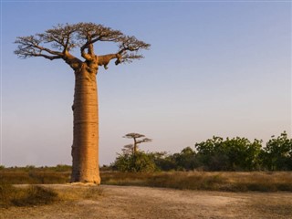 Madagaskaras