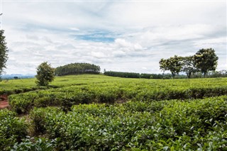 Malawi