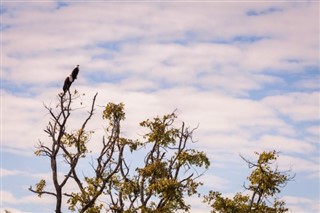 Malawi