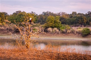 Malawi