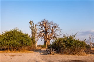 Malawi