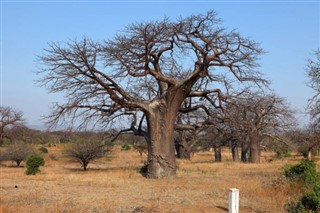 Malawi