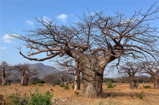 Malawi